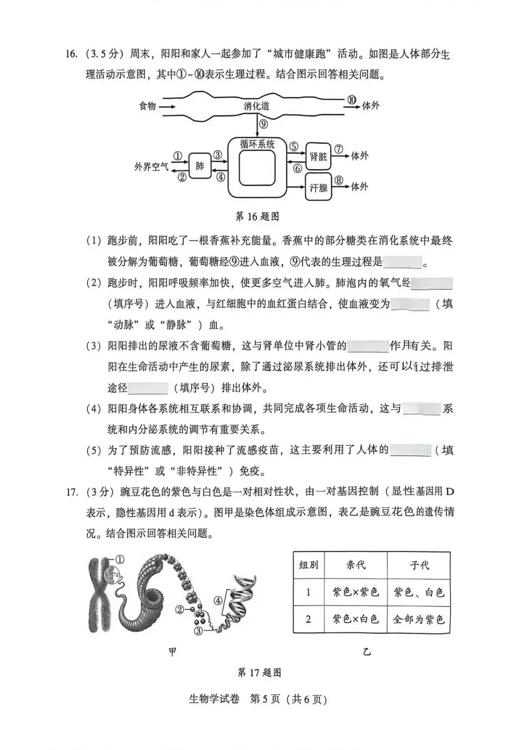 2026年沈阳市八年级【二模生物】试卷 第7张