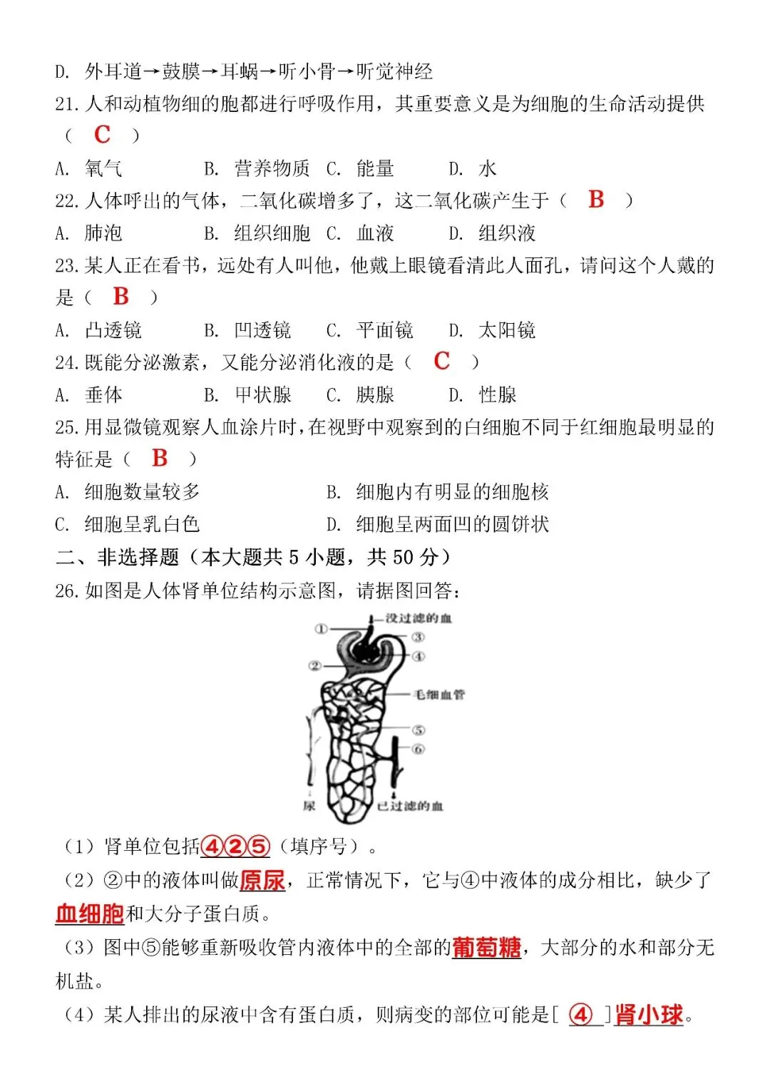 七下生物期末考试模拟试卷 第6张 七下生物期末考试模拟试卷 第6张