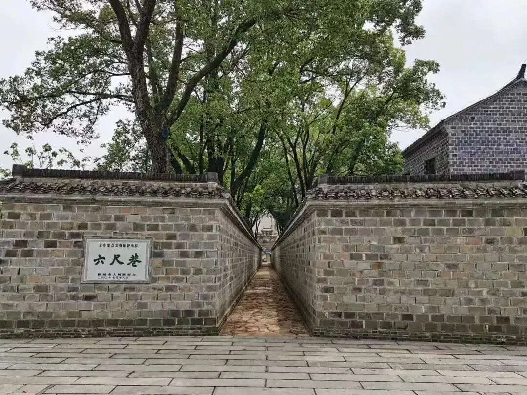 2026.5.26高三模拟考试作文讲评-第1张图片-四季读书网 2026.5.26高三模拟考试作文讲评-第1张图片-四季读书网
