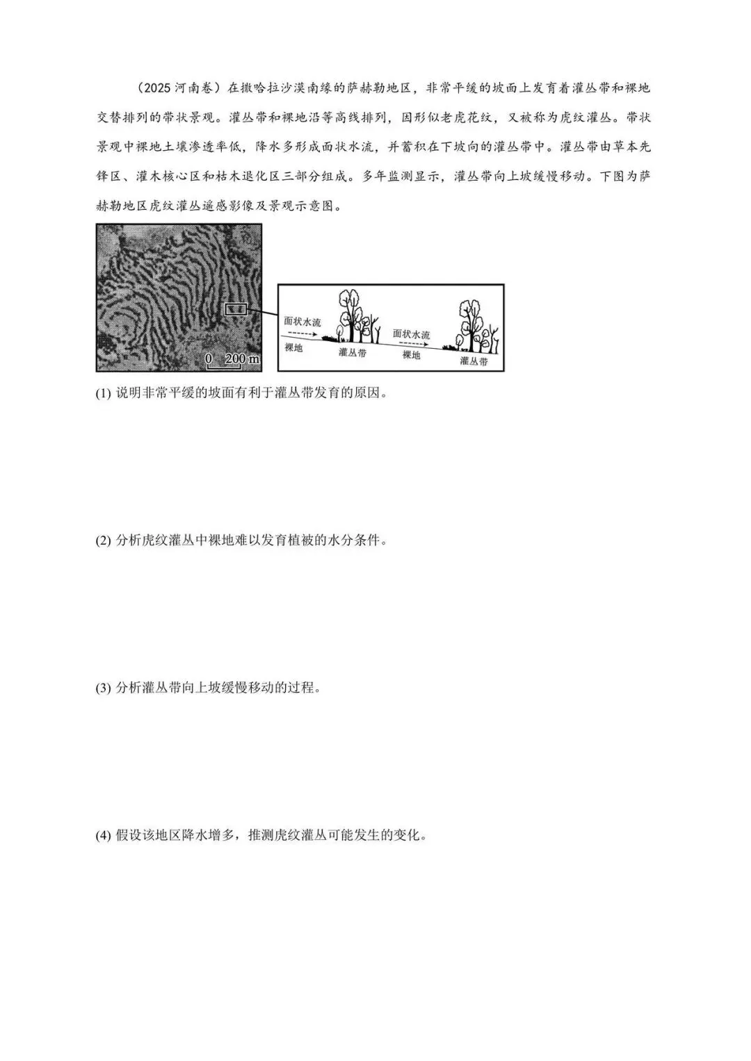 真题解析|2025河南地理虎纹灌丛 第1张