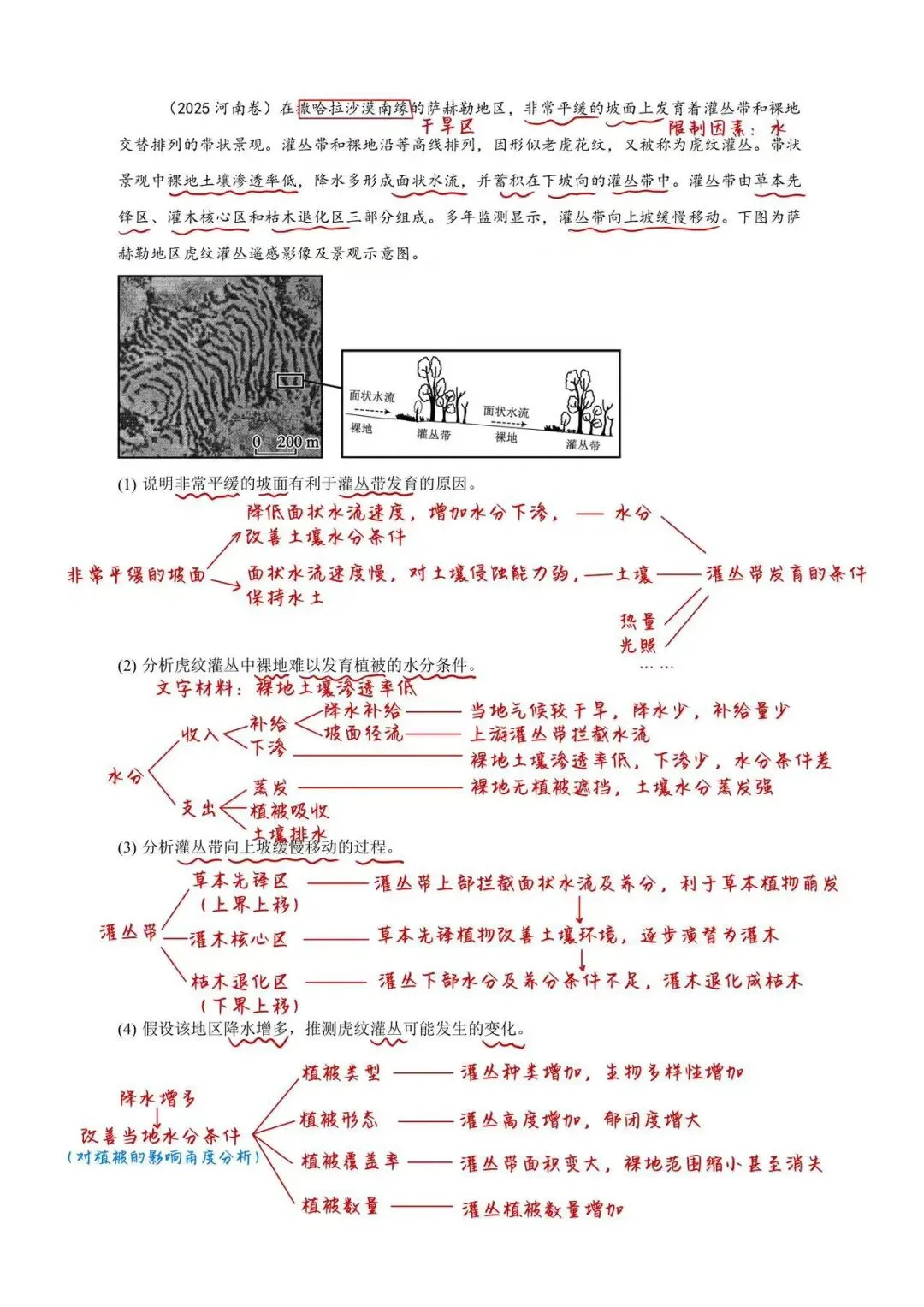 真题解析|2025河南地理虎纹灌丛 第2张
