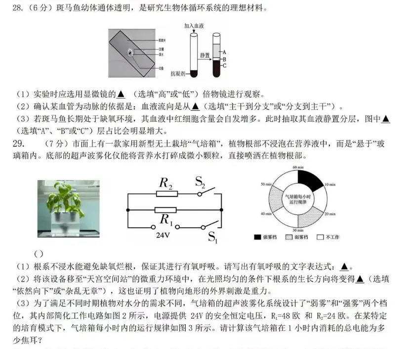 临平区二模出的很好(试卷+答案分享) 第1张 临平区二模出的很好(试卷+答案分享) 第1张
