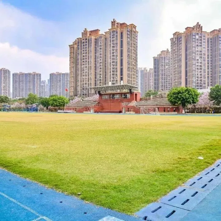 中考志愿填报指导|华侨国际怎么填?5月29晚直播专场手把手教你! 第25张
