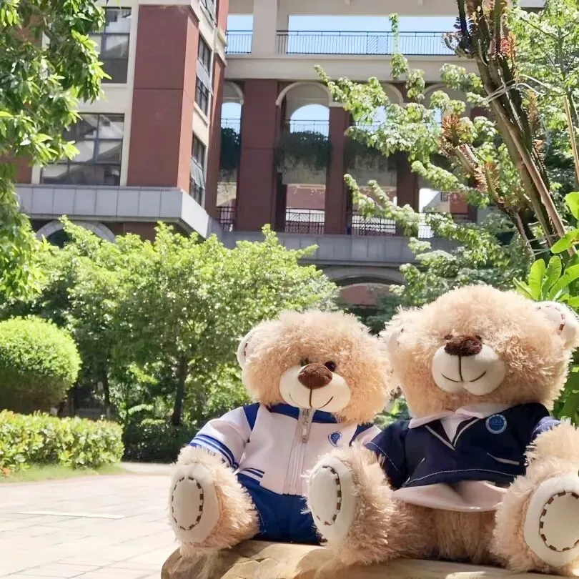 中考志愿填报指导|华侨国际怎么填?5月29晚直播专场手把手教你! 第26张