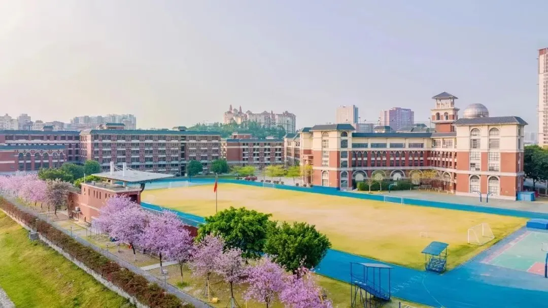 中考志愿填报指导|华侨国际怎么填?5月29晚直播专场手把手教你! 第27张