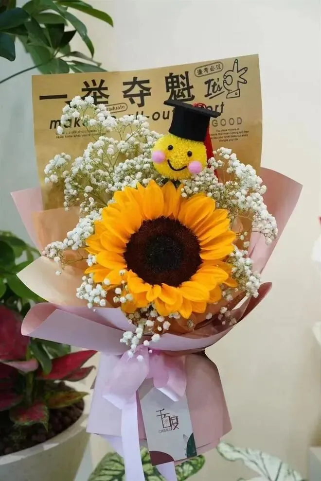 2026年中考志愿填报15个栏目怎么填?冲稳保公式+录取顺序 第1张
