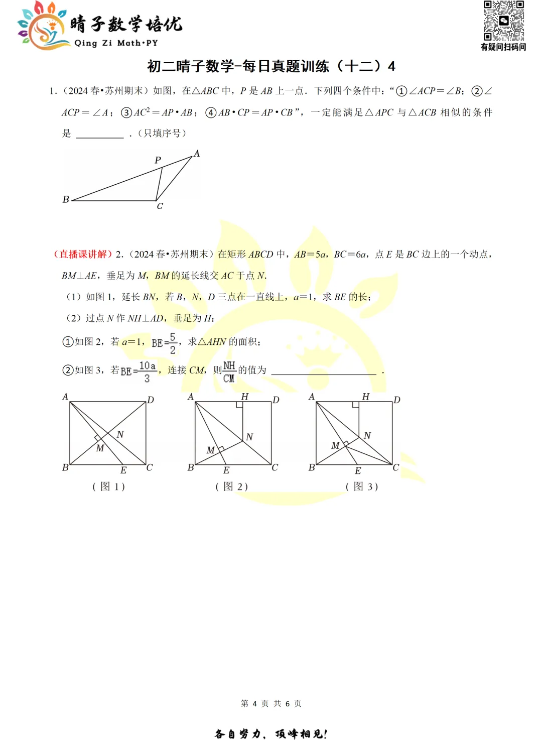 晴子数学精选-26春第十二周每日真题训练(4)-第11张图片-四季读书网 晴子数学精选-26春第十二周每日真题训练(4)-第11张图片-四季读书网
