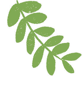 考前冲刺!|人文学院四六级模拟考来袭,提前“避坑”,轻松上阵! 第37张 考前冲刺!|人文学院四六级模拟考来袭,提前“避坑”,轻松上阵! 第37张