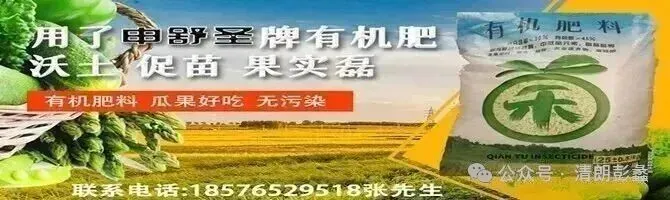 舒缓心灵 助力中考|博吾学校开展考前心理减压专题活动 第2张