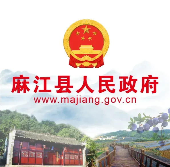 县委主要领导调研中考高考备考工作 第1张