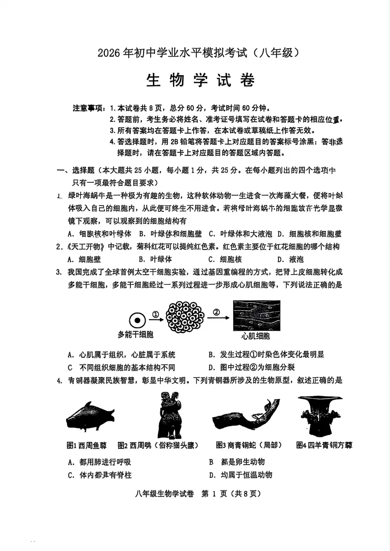 中考二模生地试卷-第9张图片-四季读书网