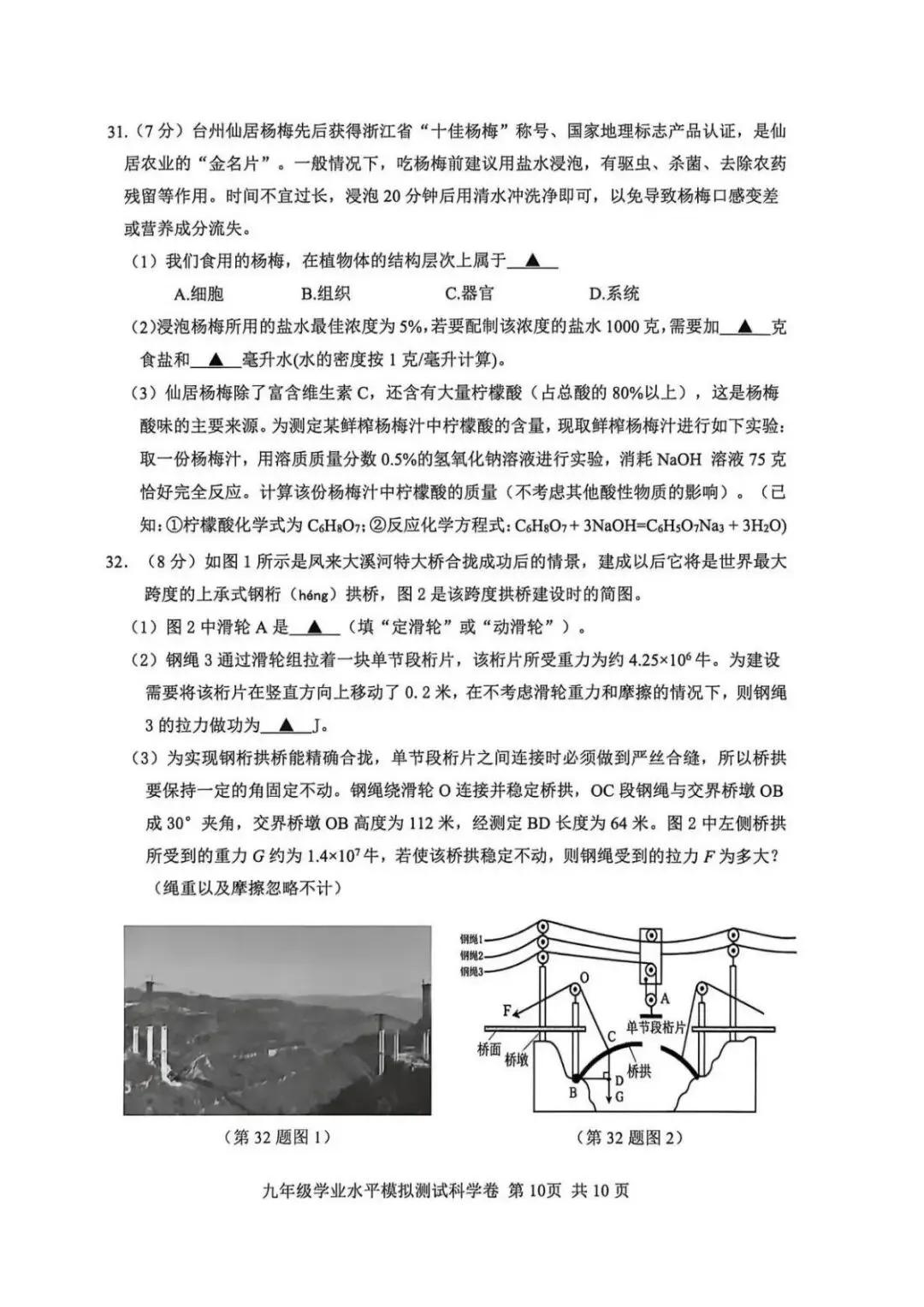 【中考二模·全科】2026.05浙江·台州玉环、仙居中考二模试卷含答案(语文、科学、英语、英语听力、数学、社会) 第21张