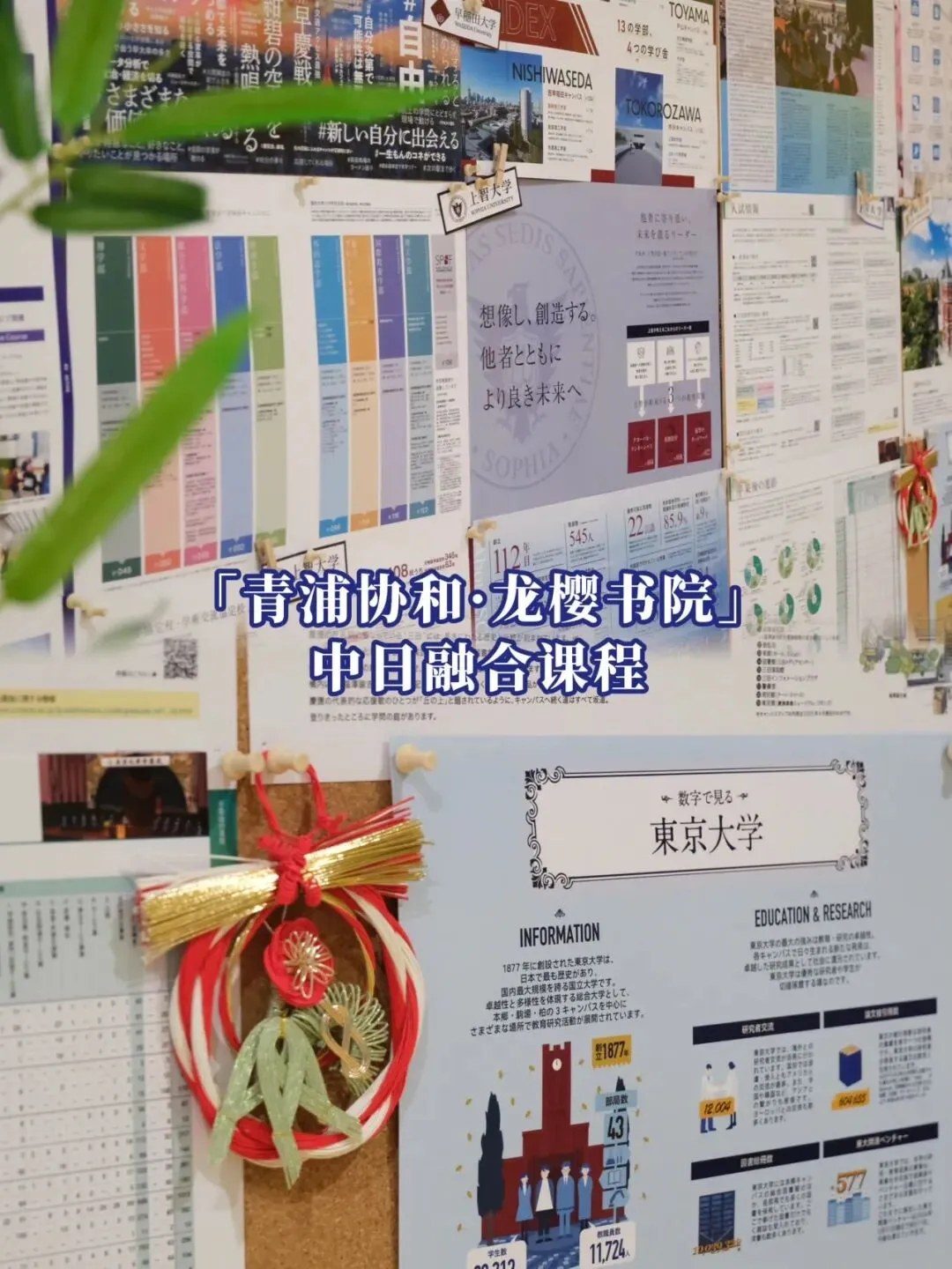 中考后接轨国际教育必看:「青浦协和・龙樱书院」6月探校活动预约中 第16张
