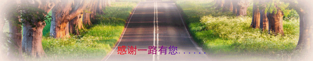 关于在普通高考、初中学考(中考)期间加强社会治安、严格控制环境噪声的通告 第2张