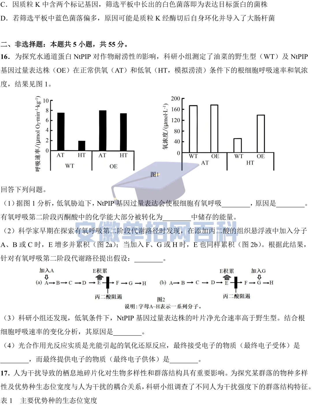生物真题丨安徽2025年高考真题生物试卷及答案-第5张图片-四季读书网