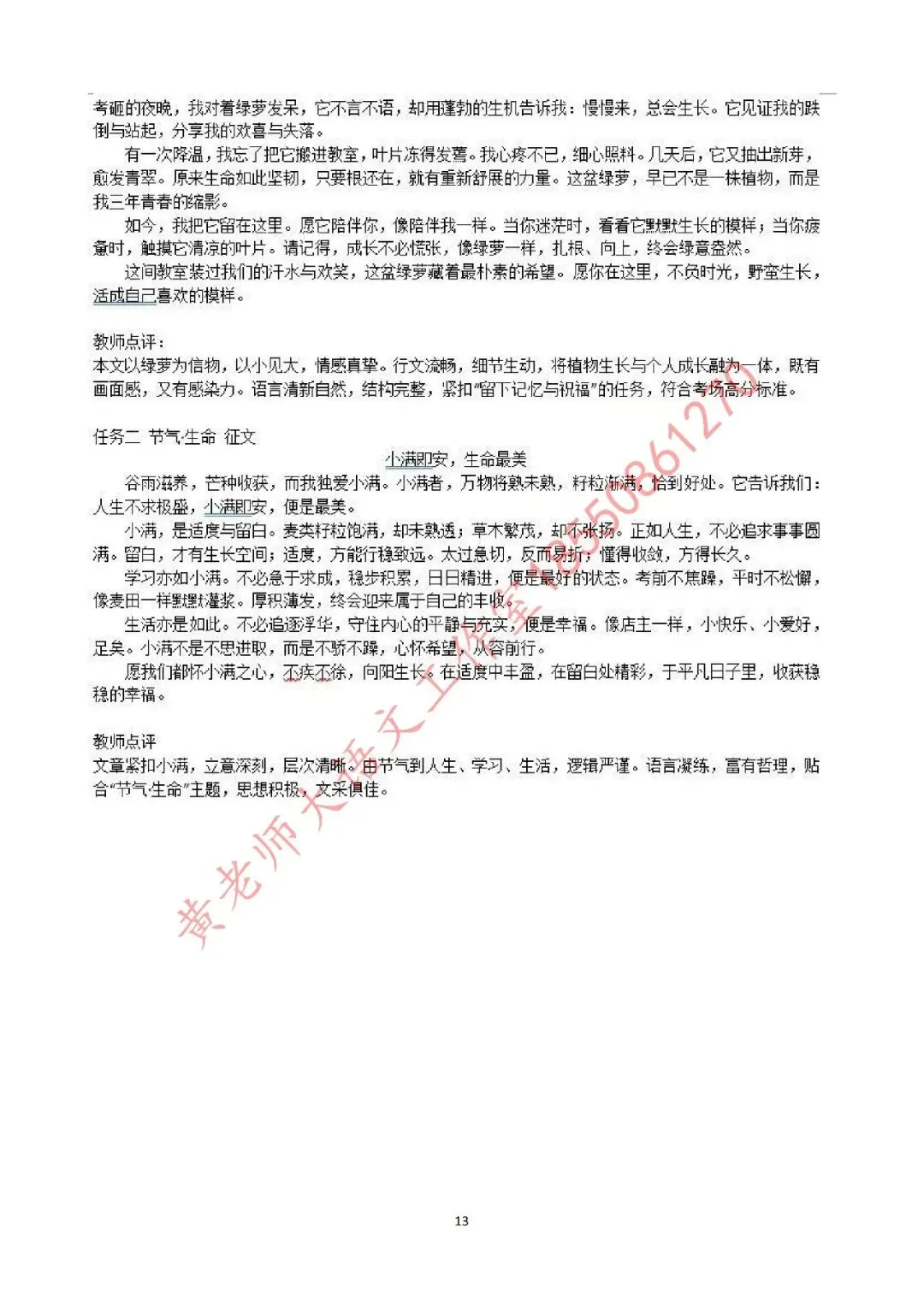 苏州新区实验初中2026年初三语文二模试卷(含答案) 第7张
