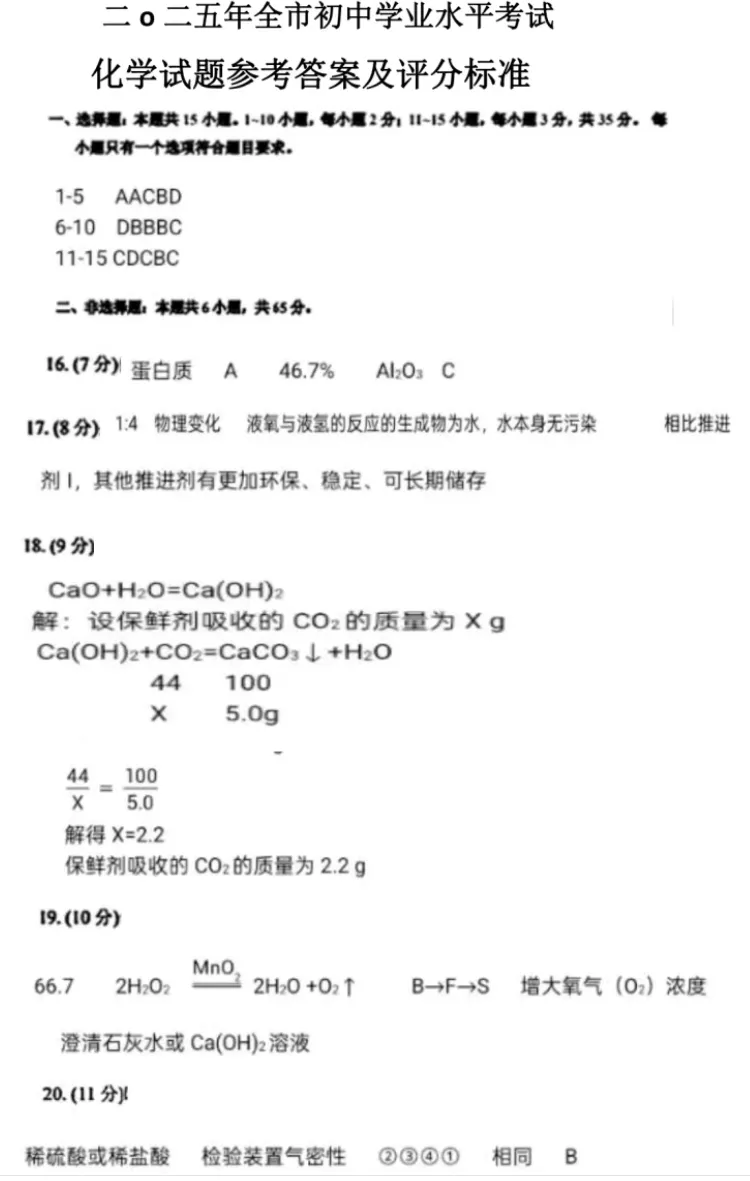 【2025中考试题】山东省中考统考化学试题及答案 第12张 【2025中考试题】山东省中考统考化学试题及答案 第12张