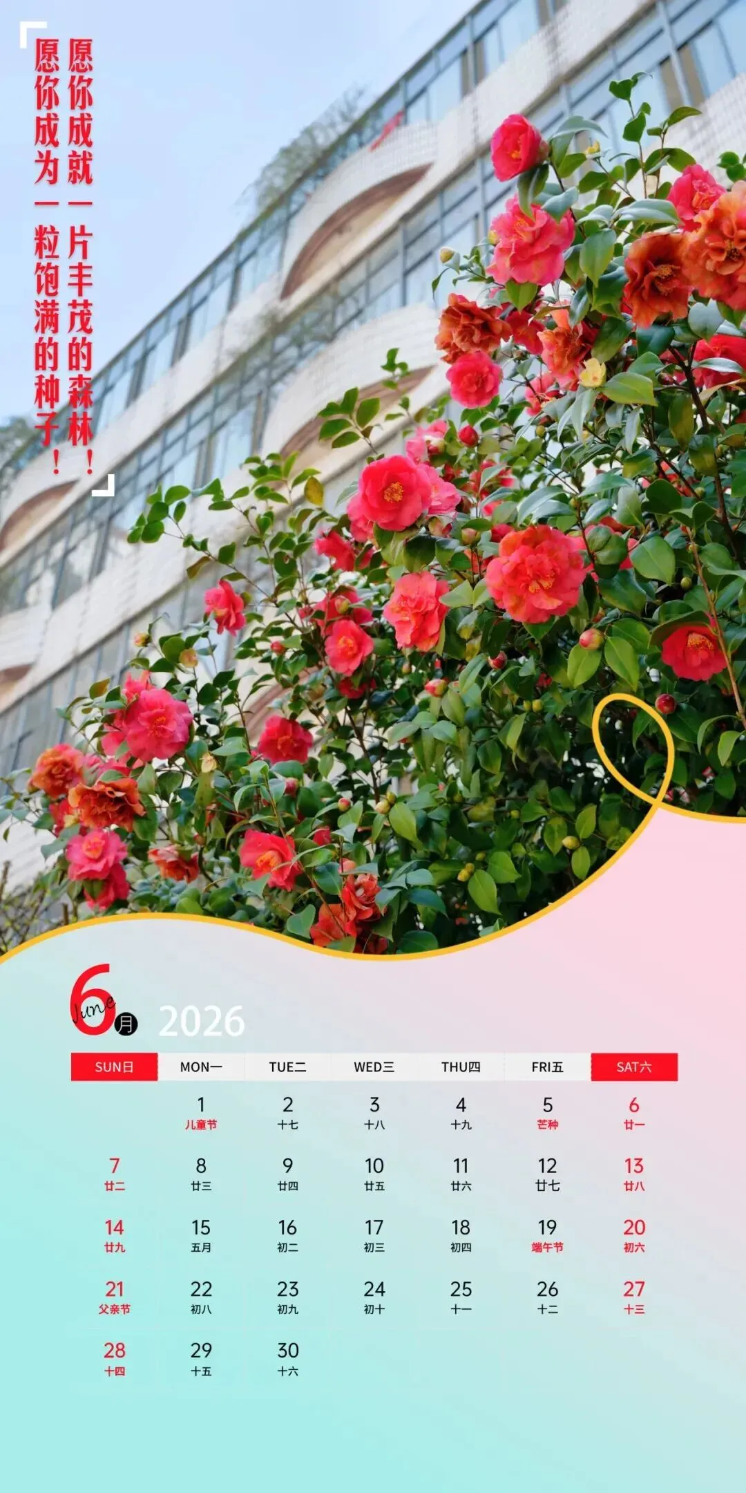 @初三学子,校园开放日(中考升学专场)倒计时3天!快来查收附中学长给你的冲刺锦囊! 第33张