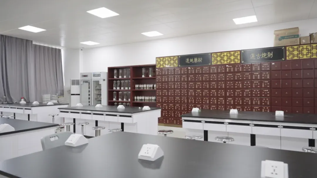2026东莞中考志愿填报开启!避坑指南+保底选择-第23张图片-四季读书网 2026东莞中考志愿填报开启!避坑指南+保底选择-第23张图片-四季读书网