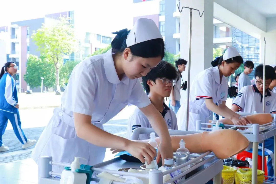 2026东莞中考志愿填报开启!避坑指南+保底选择-第44张图片-四季读书网 2026东莞中考志愿填报开启!避坑指南+保底选择-第44张图片-四季读书网