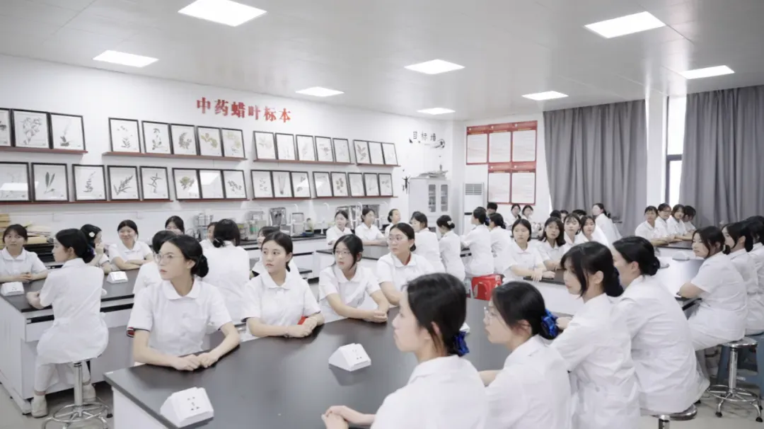 2026东莞中考志愿填报开启!避坑指南+保底选择-第46张图片-四季读书网 2026东莞中考志愿填报开启!避坑指南+保底选择-第46张图片-四季读书网