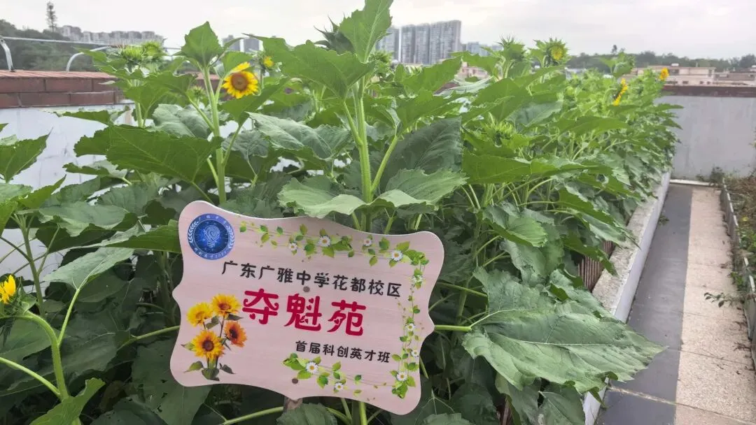 中考志愿填报→准确定位,科学填报,圆梦理想高中-第2张图片-四季读书网 中考志愿填报→准确定位,科学填报,圆梦理想高中-第2张图片-四季读书网