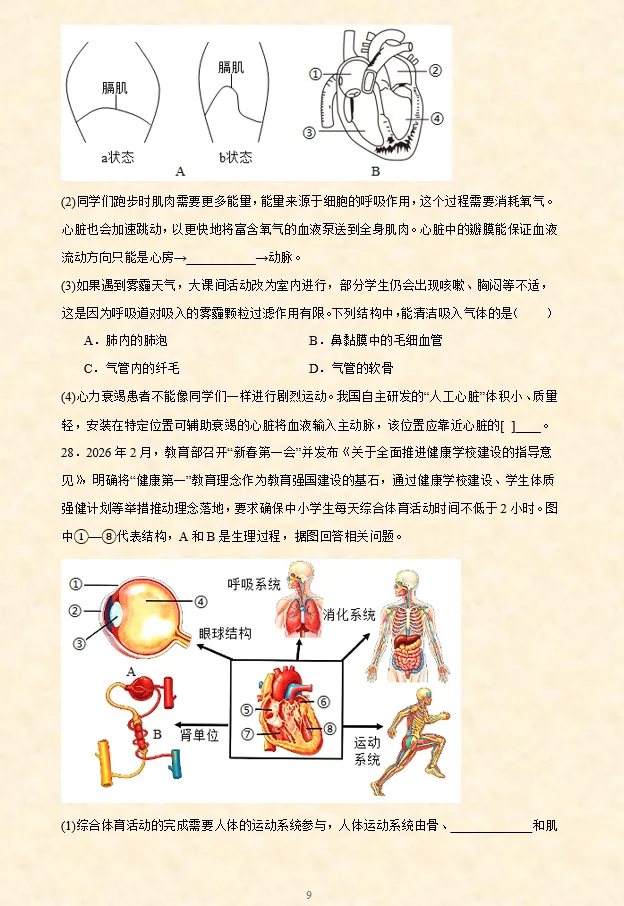2026年中考(会考)生物押题密卷(8卷)(全国通用) 第12张 2026年中考(会考)生物押题密卷(8卷)(全国通用) 第12张