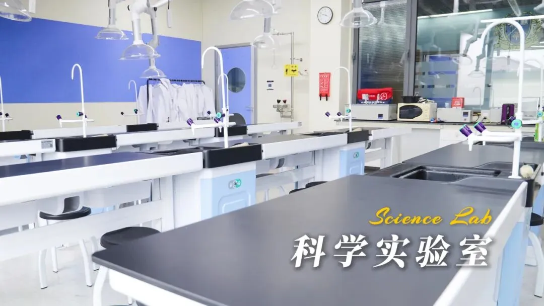 2026闵行中考志愿参考|诺美普高实力亮相,专家+名师双重护航!-第78张图片-四季读书网 2026闵行中考志愿参考|诺美普高实力亮相,专家+名师双重护航!-第78张图片-四季读书网