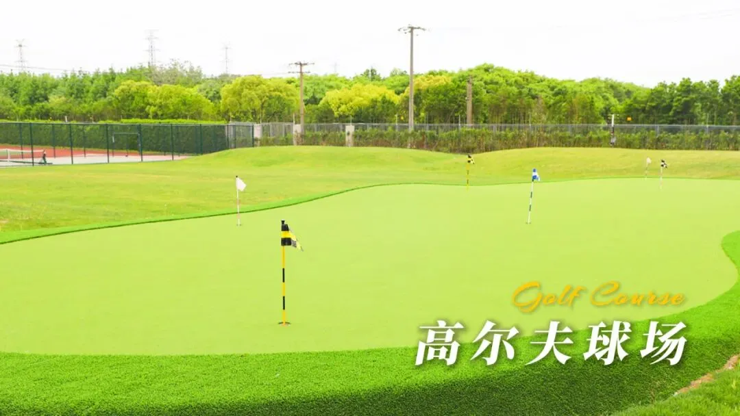 2026闵行中考志愿参考|诺美普高实力亮相,专家+名师双重护航!-第80张图片-四季读书网 2026闵行中考志愿参考|诺美普高实力亮相,专家+名师双重护航!-第80张图片-四季读书网