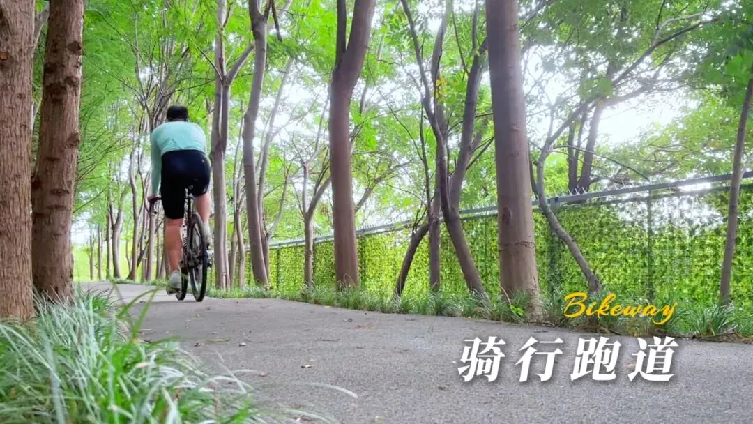 2026闵行中考志愿参考|诺美普高实力亮相,专家+名师双重护航!-第81张图片-四季读书网 2026闵行中考志愿参考|诺美普高实力亮相,专家+名师双重护航!-第81张图片-四季读书网