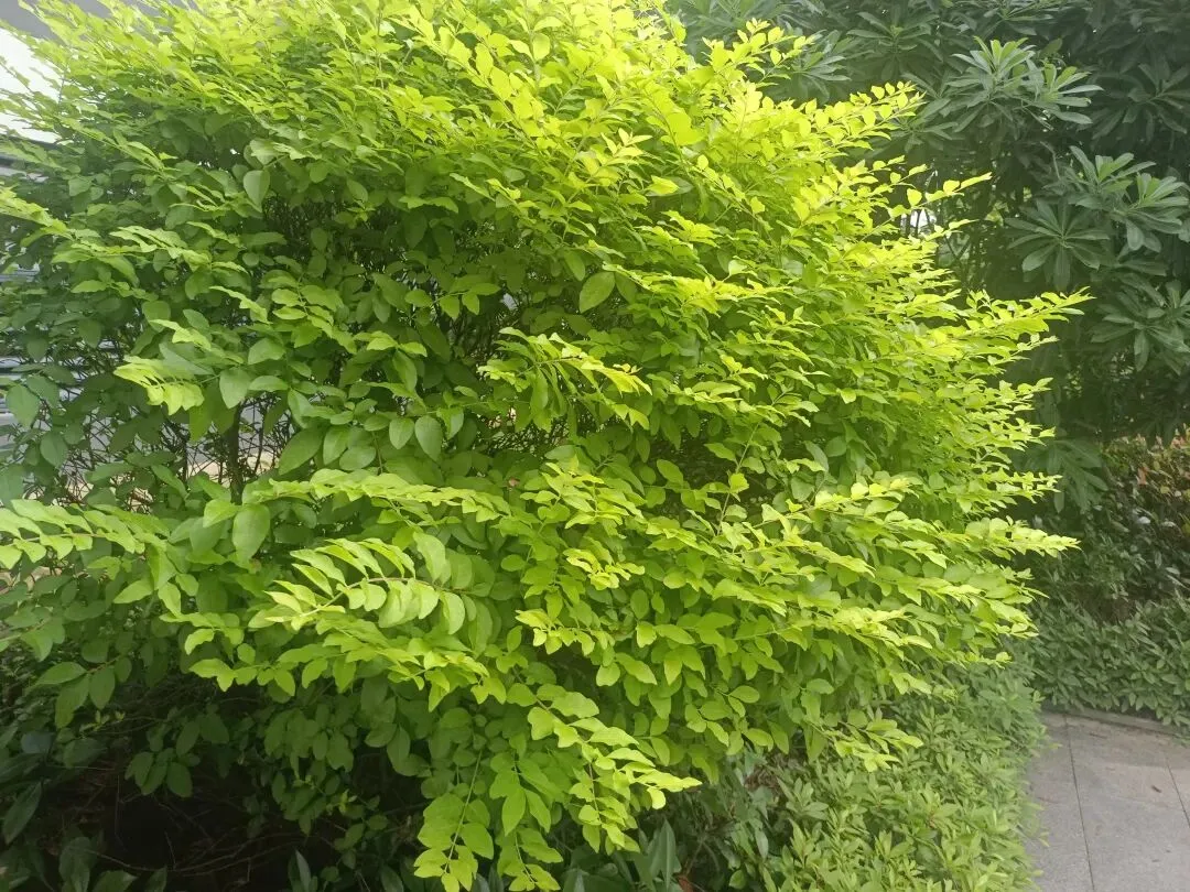 中考宝荣耀 第1张