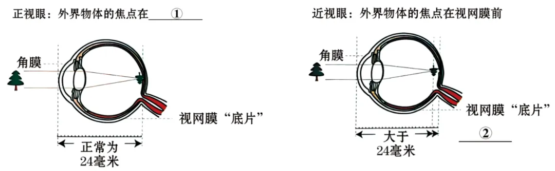 2026年江苏省徐州市中考一模语文试题 第1张