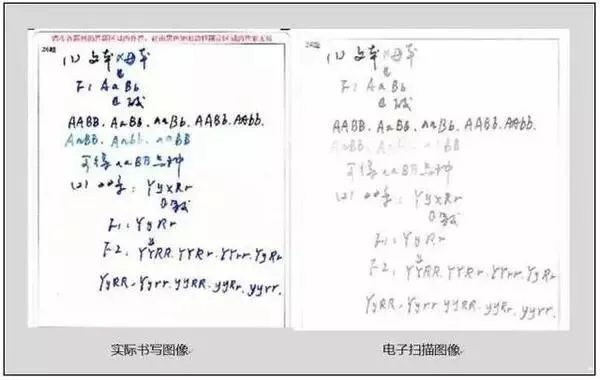 中考电脑阅卷“潜规则”,看完少丢20分 第3张 中考电脑阅卷“潜规则”,看完少丢20分 第3张