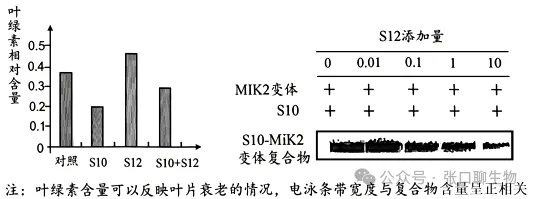 广东省汕头市2026年普通高考第二次模拟考试生物学答案及解析 ⊙-第5张图片-四季读书网 广东省汕头市2026年普通高考第二次模拟考试生物学答案及解析 ⊙-第5张图片-四季读书网