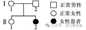 广东省汕头市2026年普通高考第二次模拟考试生物学答案及解析 ⊙-第6张图片-四季读书网 广东省汕头市2026年普通高考第二次模拟考试生物学答案及解析 ⊙-第6张图片-四季读书网