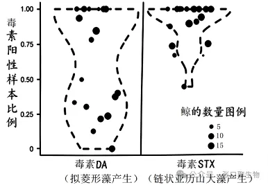 广东省汕头市2026年普通高考第二次模拟考试生物学答案及解析 ⊙-第9张图片-四季读书网 广东省汕头市2026年普通高考第二次模拟考试生物学答案及解析 ⊙-第9张图片-四季读书网