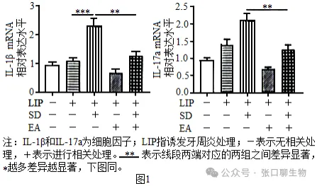 广东省汕头市2026年普通高考第二次模拟考试生物学答案及解析 ⊙-第11张图片-四季读书网 广东省汕头市2026年普通高考第二次模拟考试生物学答案及解析 ⊙-第11张图片-四季读书网