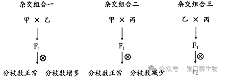 广东省汕头市2026年普通高考第二次模拟考试生物学答案及解析 ⊙-第13张图片-四季读书网 广东省汕头市2026年普通高考第二次模拟考试生物学答案及解析 ⊙-第13张图片-四季读书网