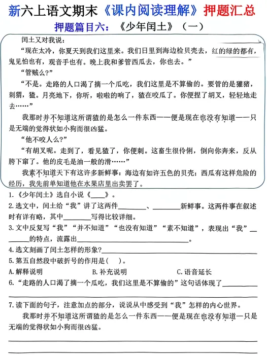 新版小学六年级上册语文期末考试《课内阅读理解》模拟预测押题汇总 PDF电子版 可下载打印-第2张图片-四季读书网
