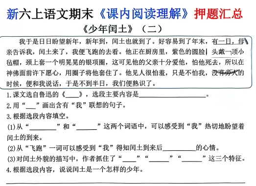 新版小学六年级上册语文期末考试《课内阅读理解》模拟预测押题汇总 PDF电子版 可下载打印-第3张图片-四季读书网