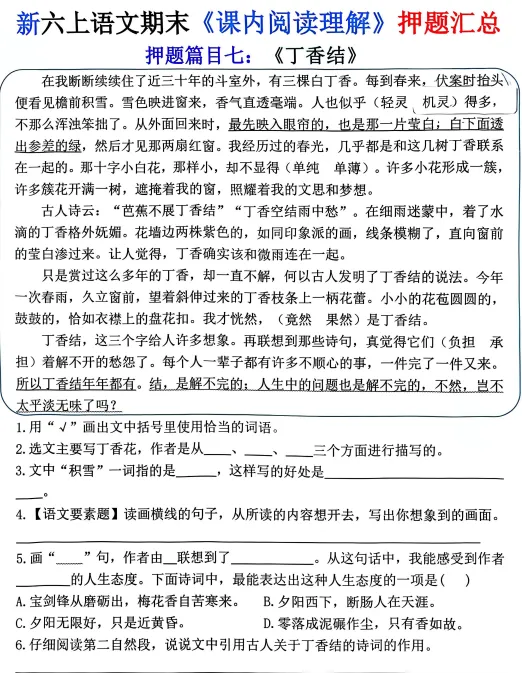 新版小学六年级上册语文期末考试《课内阅读理解》模拟预测押题汇总 PDF电子版 可下载打印-第4张图片-四季读书网