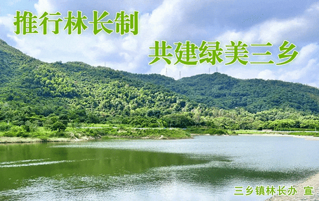 关于开具中山市中考及初中地理、生物学学考成绩证明的通知 第8张 关于开具中山市中考及初中地理、生物学学考成绩证明的通知 第8张