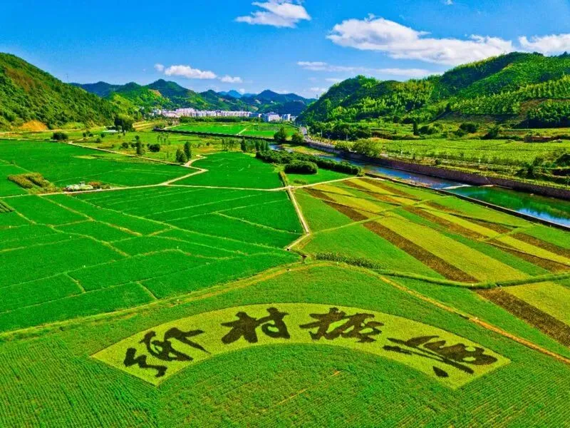 2026年地理中考热点(82)乡村振兴 第1张