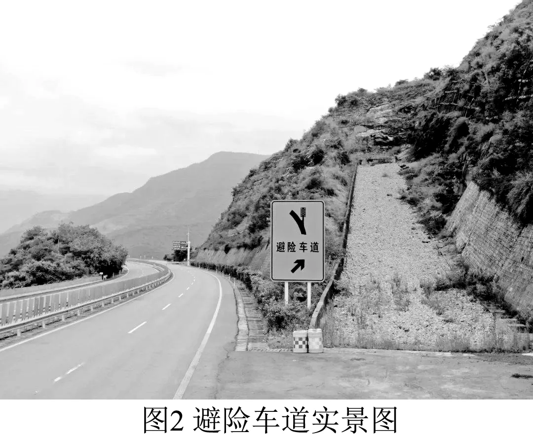 2026年地理中考热点(82)乡村振兴 第3张