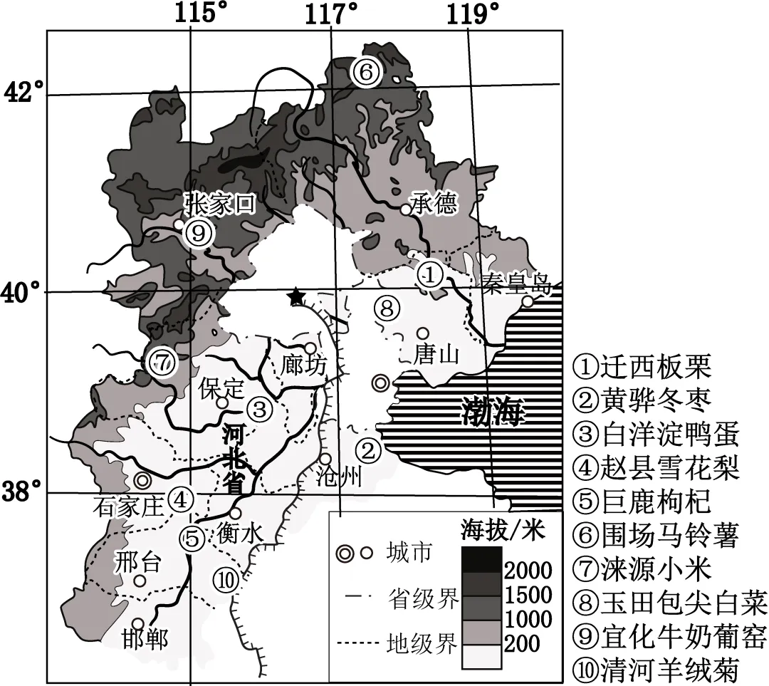 2026年地理中考热点(82)乡村振兴 第16张