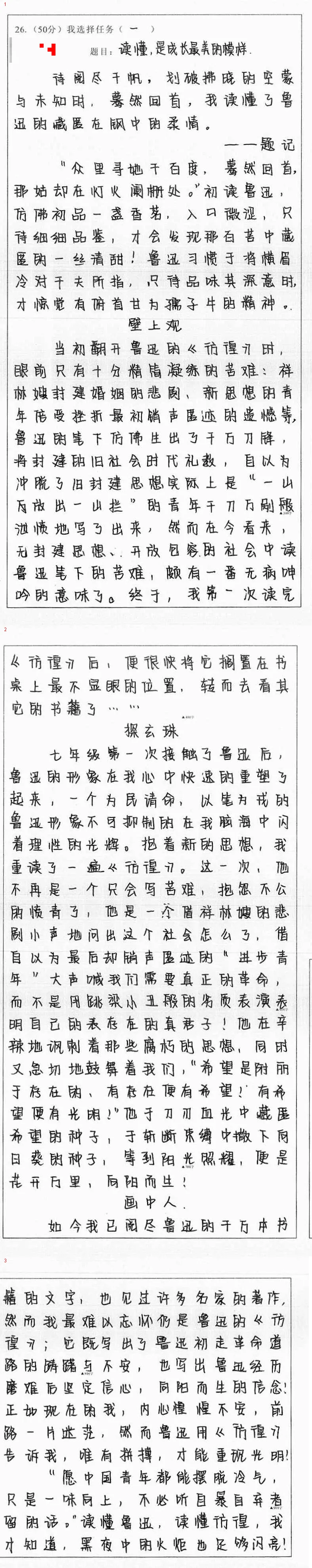 2026年5月中考调研作文写作指导及高分作文 第4张