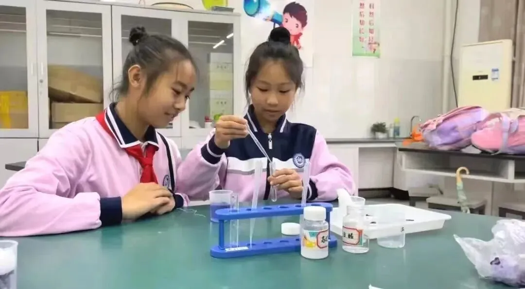 岛外第一学区扩校已启用!今年中考会再次封神吗? 第9张