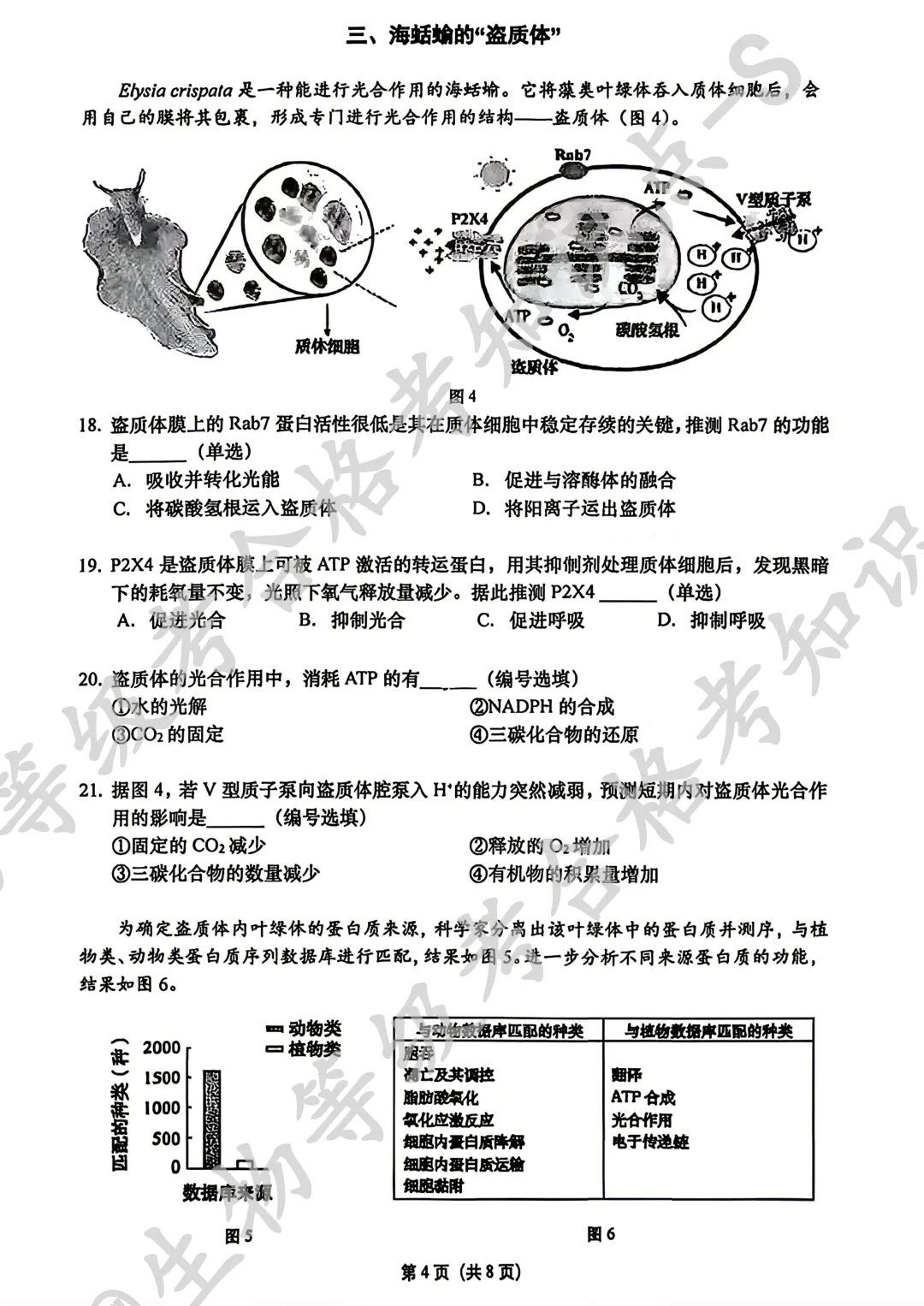 【上海名校试卷】上海市松江二中2025-2026学年高二下学期5月学情调研生物试卷 第4张