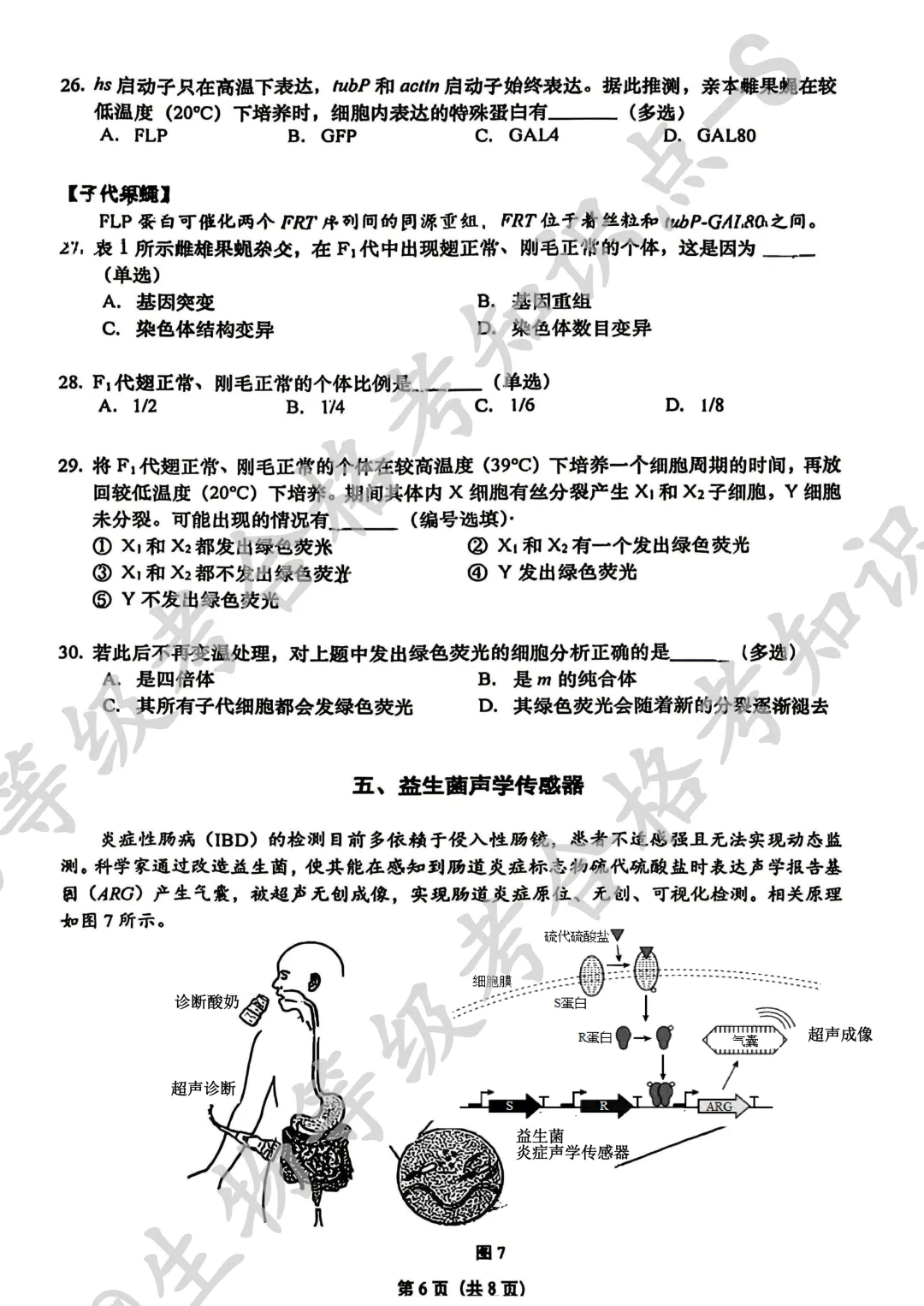 【上海名校试卷】上海市松江二中2025-2026学年高二下学期5月学情调研生物试卷 第6张