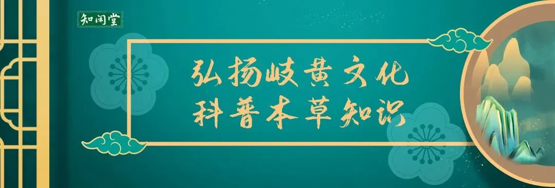 中考高考临近|三款学子专属养生食疗,安神补脑,从容应考 第1张 中考高考临近|三款学子专属养生食疗,安神补脑,从容应考 第1张